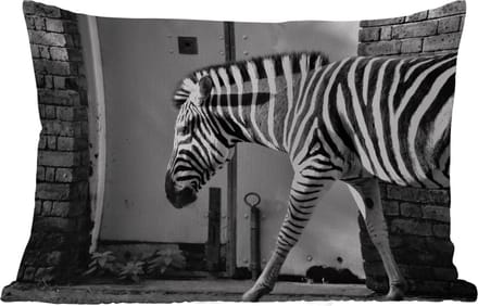 Buitenkussens - Zebra - Muur - Deur - Dieren - Zwart wit - 60x40 cm - Weerbestendig