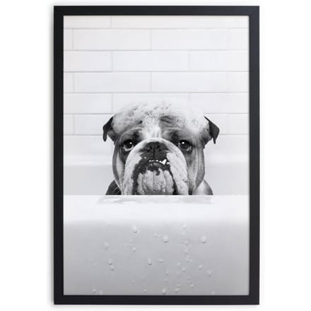 Wanddecoratie Bulldog in Tub | Really Nice Things