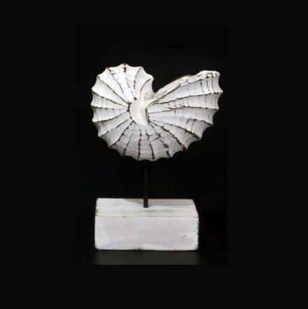 Houten schelp beeld antique white L