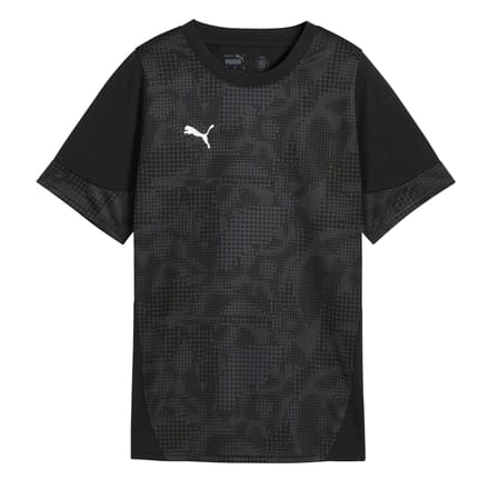 Puma Dames Teamcup Trainingsscheidsrechter Shirt (Zwart/Zilver)
