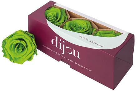 3x Dc pres.rozen lime green 2298c