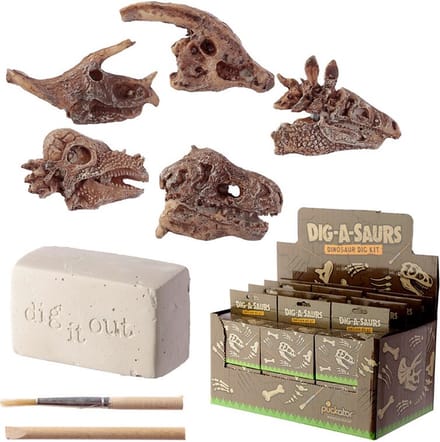 Dinosaurusus - Schedel - Fossiel - Opgravings Set - Dig it Out Kit - 1 Schedel
