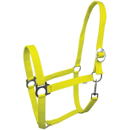 Halster voor paarden York Lita