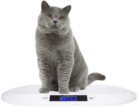 Digitale Weegschaal voor Huisdieren en Baby's tot 20kg