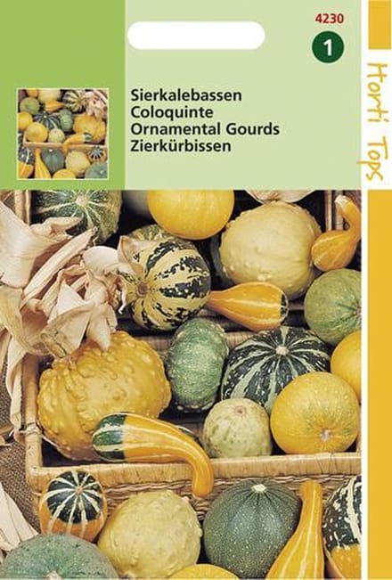 Hortitops Zaden - Cucurbita Pepo, Sierkalebas Kleinvr. Gem.