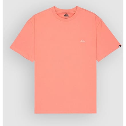 Quiksilver Salt Water T-Shirt