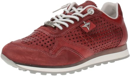 Cetti C-848 EXP V25 - Herensneaker - Tweedehands-Tin-Burdeos