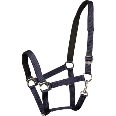 Gewatteerd paardenhalster Harry's Horse