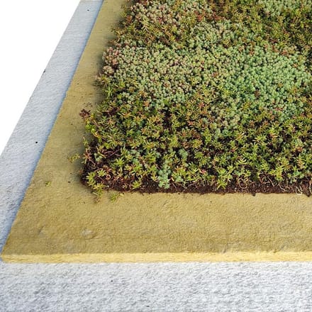 Groen Dak Compleet Lichtgewicht groen dak pakket (5 m2)