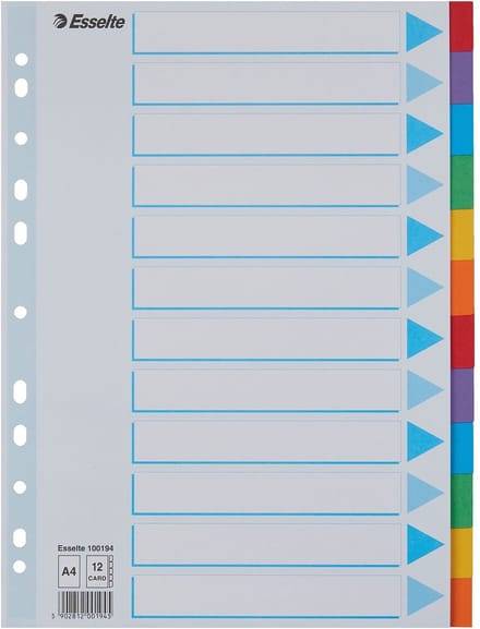 Esselte - Tabbladen A4 11R karton 12-delig met voorblad | 10 stuks