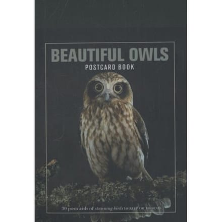 Beautiful Owls Postcard Book