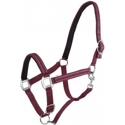Halster voor paarden York Teo