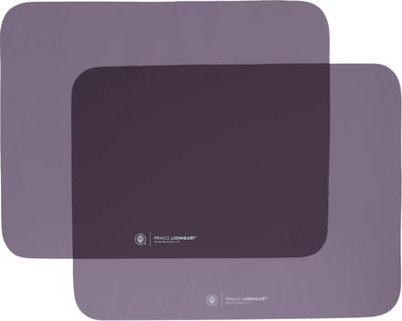 Prince Lionheart Sunshade Kit Zonnescherm 2 Stuks 0339