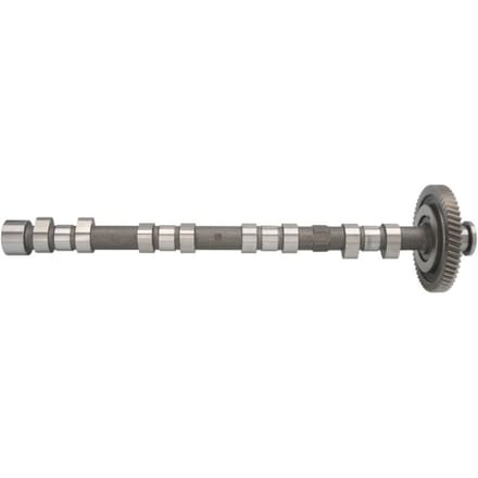 Nokkenas  AE CAM974