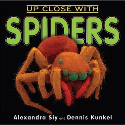 Up Close With Spiders - Alexandra Siy