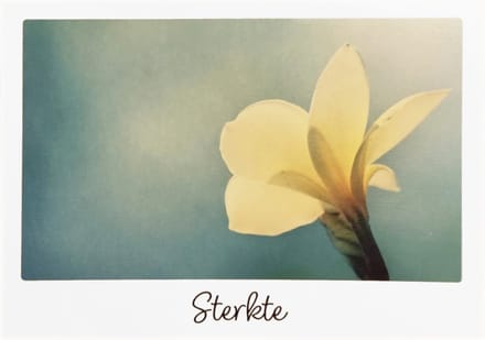 Kaart - Artige - Little wishes - Sterkte - ECLT25-A
