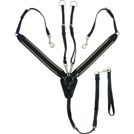 Martingale voor paarden Catago