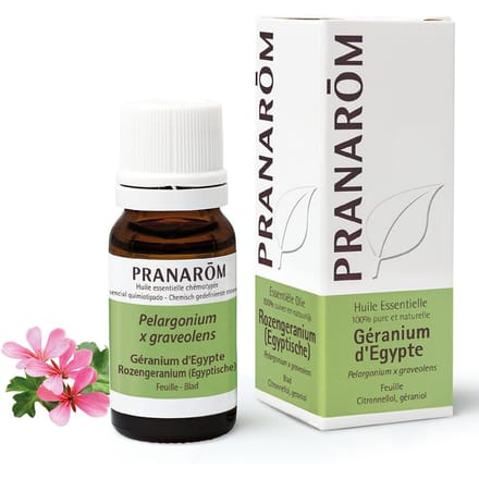 Pranarôm Essentiële Olie Geranium Egypte | Ontspanning & Huidverzorging 10 Etherische olie