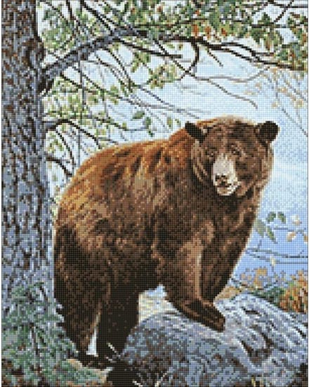 Wizardi Diamond Painting Kit BROWN BEAR WD083