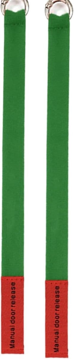 Autodeur Handgreep - Veiligheidsgreep Nylon - Veiliger Instappen - Ergonomisch Ontwerp - 23 x 1.5 cm - Groen