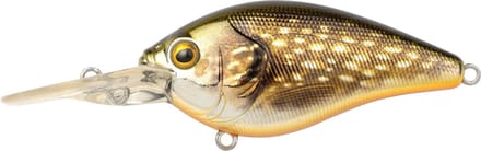 Spro Ikiru Crank Long Lip (diepte 2.5m) 6cm - 14g