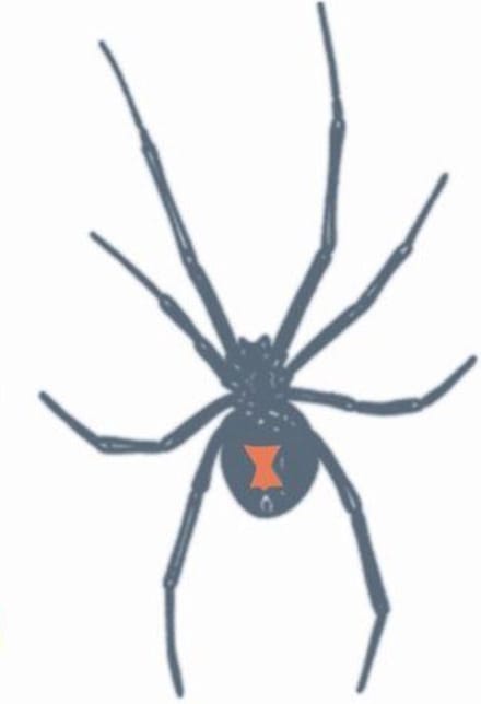 Partychimp Neptatoeage Black Widow 10 Cm Polyester Zwart/rood