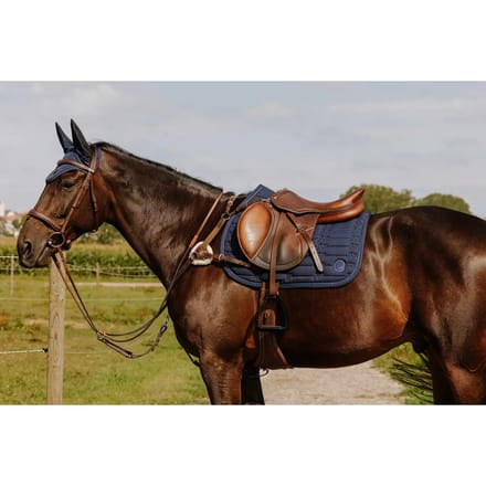 5-punts jachthalsband voor paarden Norton Pro