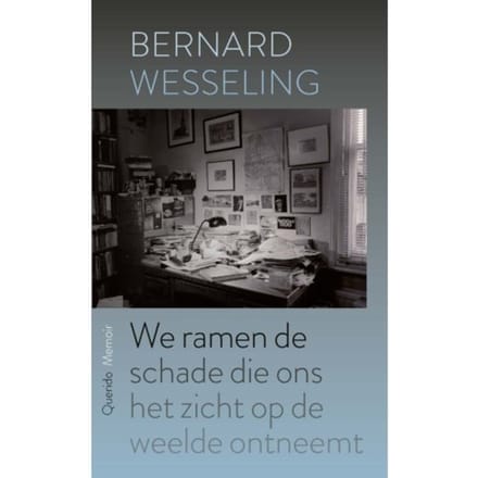 We Ramen De Schade Die Ons Het Zicht Op De Weelde Ontneemt - Bernard Wesseling
