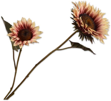 Zonnebloem tak creme/rood 75 cm