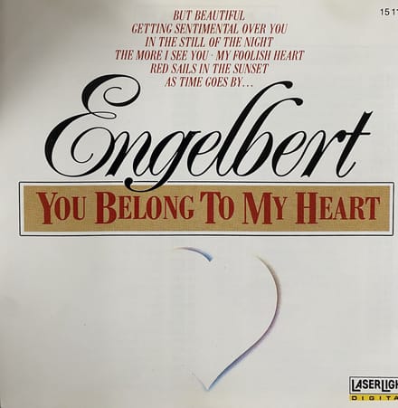 You Belong To My Heart