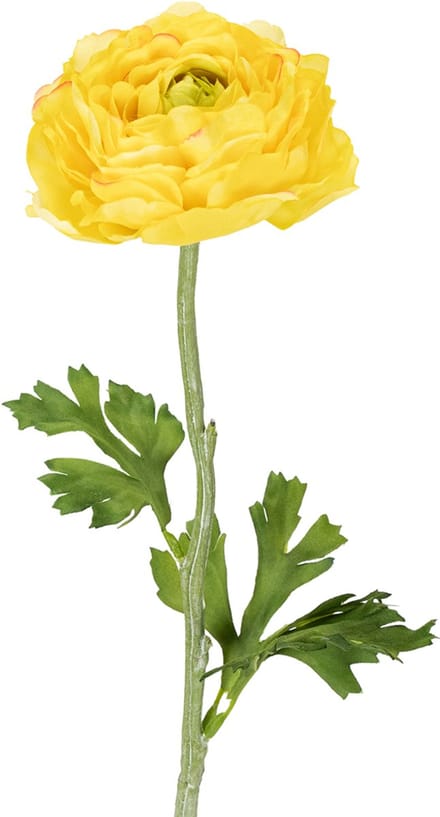 Kunstmatige ranunculus als enkele bloem voor elegante en onderhoudsvri
