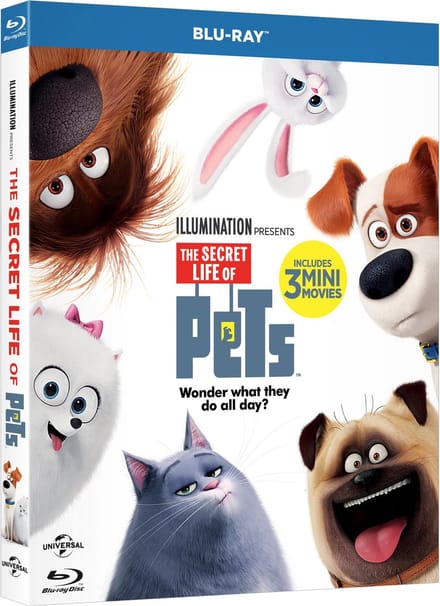 Universal Pictures Pets - Vita da animali DVD Engels, Italiaans