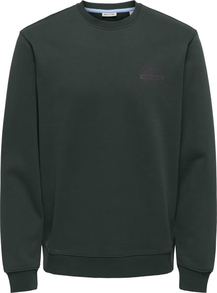 ONLY&SONS - ONSMATTHEUW REG SWEAT CREW CS - Heren - Sweaters