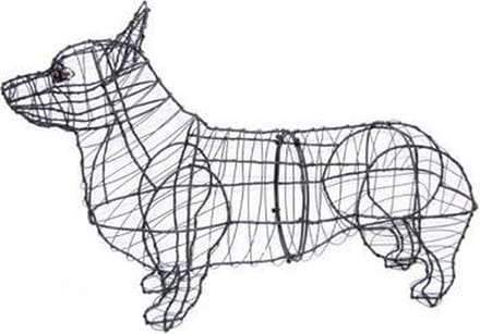 Hond Corgi - Frame