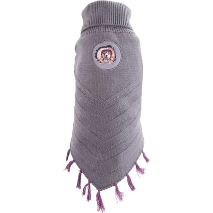Hondentrui Martin Sellier Teo Apache