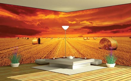 Fotobehang Vlies Natuur | Oranje | GROOT 624x219cm
