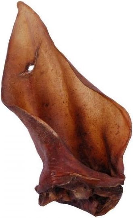 Runderoren XL met pit (vlees) | Hondensnack | 100 stuks