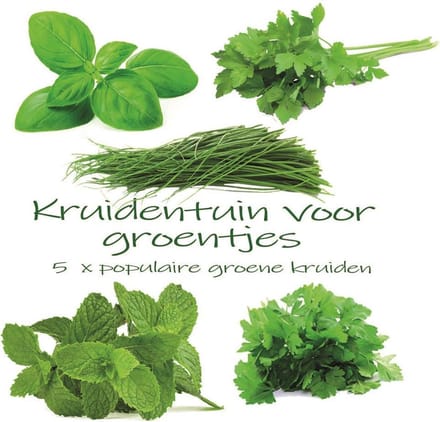 Kruidentuin voor Groentjes - 5 Populairste Kruidenzaden voor Elke Tuin