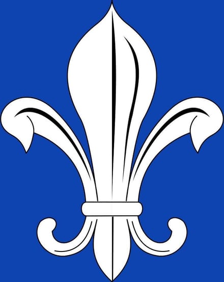 Vlag Mesen 100x150cm