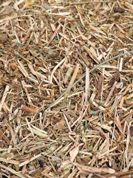 Sint-Janskruid (Hypericum perforatum)100g