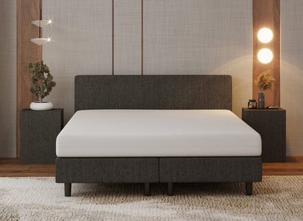 Nessa® - 160x200 Boxspring Bjorn Antraciet - Inclusief Pocketvering matras