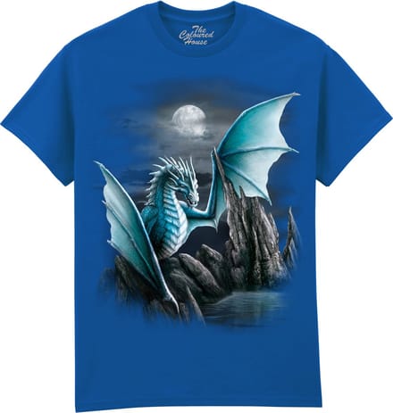 Draak Cameron Dragon The Coloured House T-shirt M