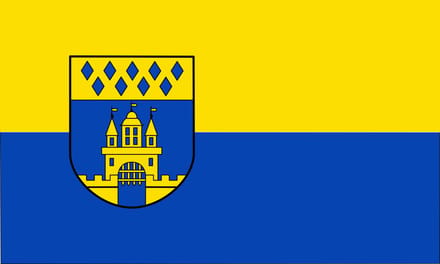 Vlag Steinfurt 100x150cm