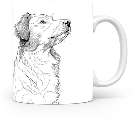 Beker Nova Scotia Duck Tolling Retriever
