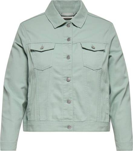 ONLY CARMAKOMA - CARTIA L/S COLORED JACKET CC PNT - Meisjes - Gewatteerde jassen