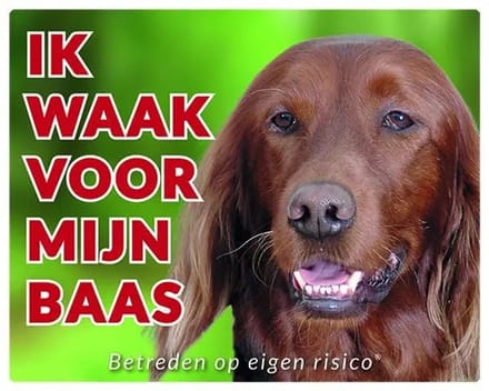 Ierse Setter Waakbord - Ik waak voor mijn baas