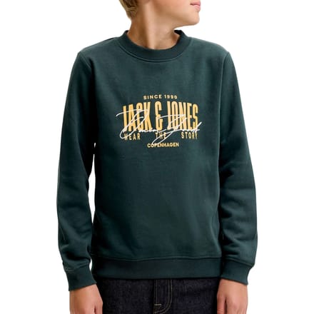 JACK & JONES - JJAERO SWEAT CREW NECK JNR Heren Trui