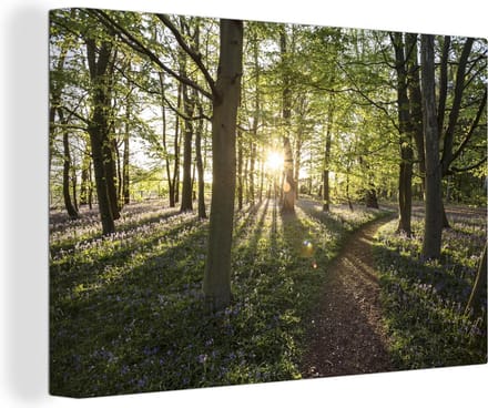 Canvas Schilderij Bos - Boom - Zon - 120x80 cm - Wanddecoratie