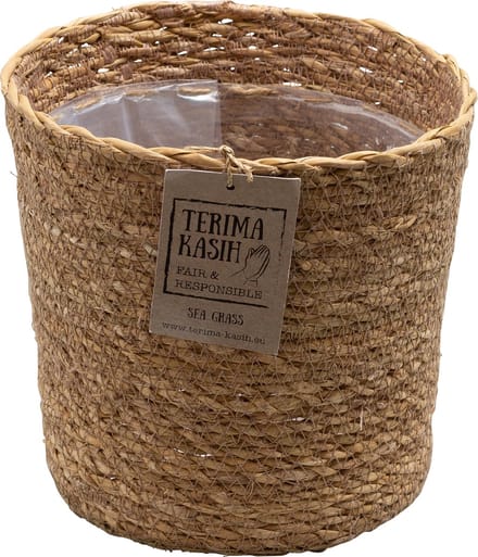 Bloomique - Mand Lux – Zeegras – Terami Kasih – – 20-25 cm - Pot 21 cm