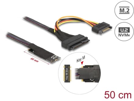 Delock M.2 Key M to U.2 SFF-8639 NVMe Adapter with 50 cm cable
